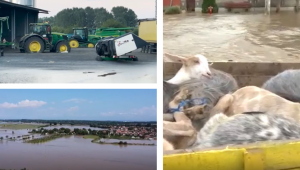 След наводненията: Стотици тонове зърно и зеленчуци са унищожени