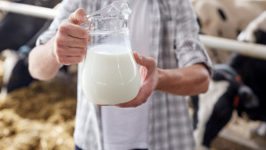 Прогноза: По-малко, но по-скъпо мляко