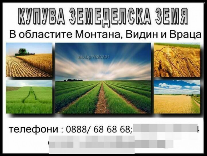 "ОМЕГА АГРО ГРУП" Купува земеделска земя за цяла България - Снимка 1
