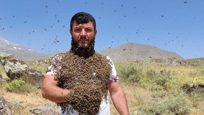 Пчеларят, който има особена връзка с пчелите си