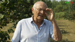 Бащата на сорта Франческана у нас и лешниковата му градина - Agri.bg