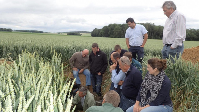 Фермери тестват стратегии за намаляване на обработката на почвата 