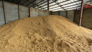 Министерството: Искаме от ЕК извънредна мярка за частно съхранение на зърно