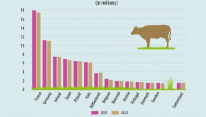 Прасетата и говедата в ЕС намаляват - Снимка 2