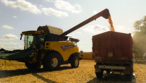Жътвата на царевица в Добруджа приключва с 546 кг/дка среден добив
