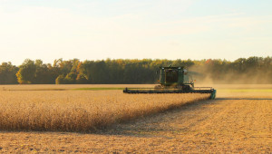 Чехия прогнозира обща реколта от над 8 милиона тона зърно