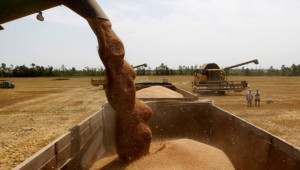 ЕС започва да увеличава износа на зърно 