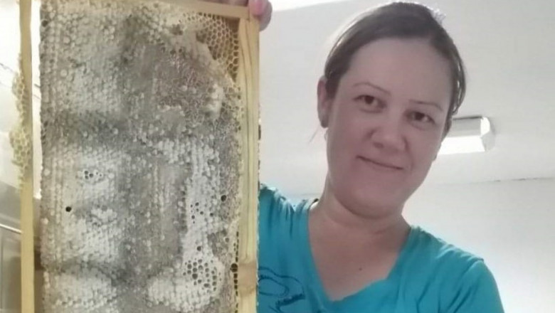 Пълни с енергия: Семейство пчелари създават специален имуностимулатор