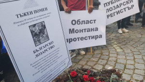 Мъртво ли е българското лозарство?