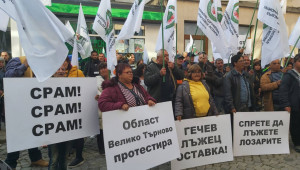Мъртво ли е българското лозарство? - Снимка 3