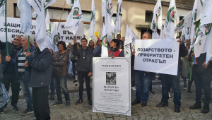 Мъртво ли е българското лозарство? - Снимка 4