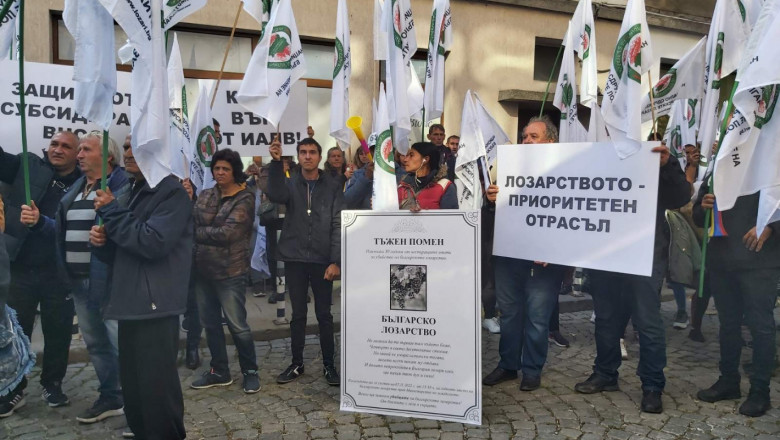 Мъртво ли е българското лозарство?