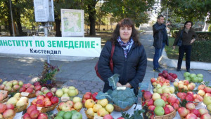 Дамите в селското стопанство: Десислава Тодорова - Снимка 2