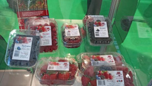 Български малини и ягодоплодни покориха изложение в Германия (снимки) - Снимка 2