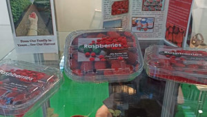 Български малини и ягодоплодни покориха изложение в Германия (снимки) - Снимка 4