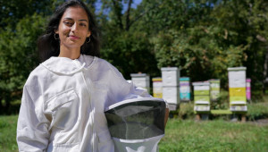 Как иновативен вход на кошер спасява пчелите - Agri.bg