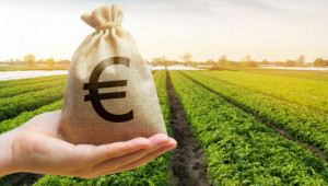 Дори при отказ от субсидиране, фермерите ще бъдат санкционирани от 2023 г. - Agri.bg