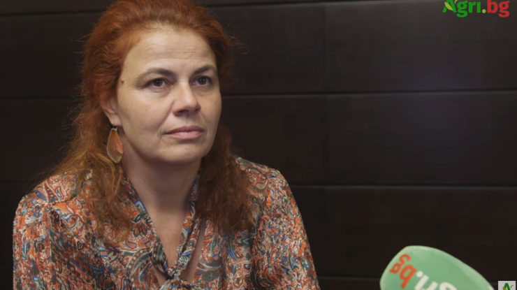 Радостина Жекова: Семенарските компании обявиха между 30 и 50% ръст в цените за догодина