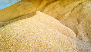 Отмъкнаха 2 тона пшеница от склад в село Присад - Agri.bg