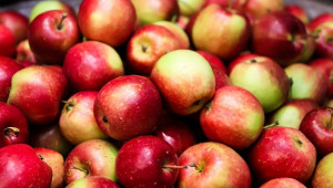 Овощари: Тонове плодове залежават в хладилните камери
