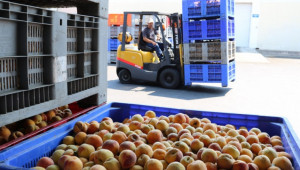 Защо групите производители в „Плодове и зеленчуци” са изключени от секторните интервенции - Agri.bg