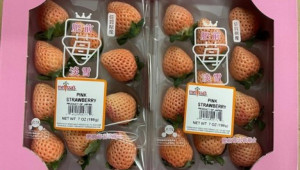 Празничен лукс: Японски ягоди по 60 долара - Снимка 2