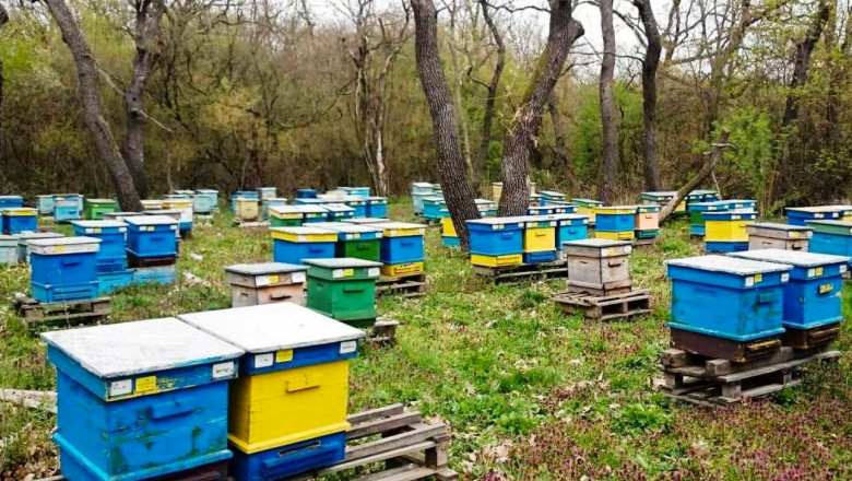 Внимание: Крадат пчелни кошери в община Балчик