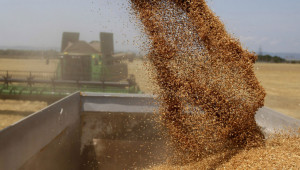 Борси: Спад в цените на зърното без изключения