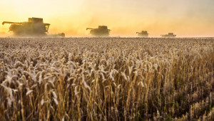 Прогноза за зърното: По-голямото потребление напролет ще тласне цените нагоре - Agri.bg