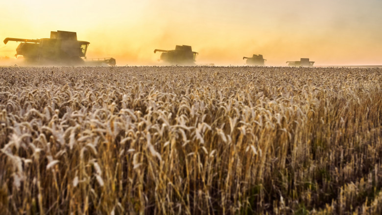 Прогноза за зърното: По-голямото потребление напролет ще тласне цените нагоре