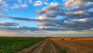 Оживява се пазара на земеделска земя в Северозападна България - Agri.bg