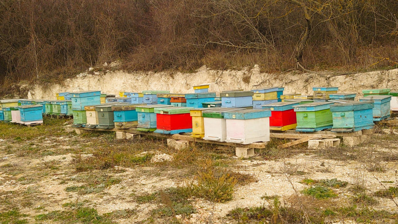 Читателите коментират: Интензивното земеделие и пчеларството "се бият"