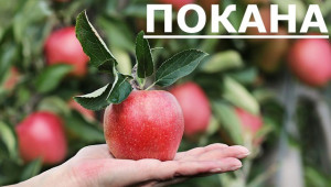 Покана към фермерите от сектор “Плодове и зеленчуци” за среща с Министерството на земеделието и ДФЗ - Agri.bg