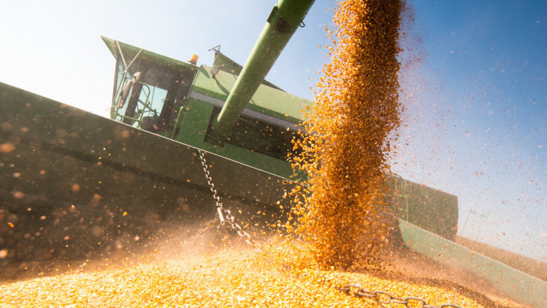 Борси: Какви са цените на зърното?