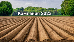 Екологична условност за „Плодове и зеленчуци”: Внимавайте какво заявявате през 2023 г. - Agri.bg