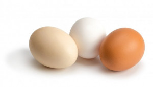 Критични периоди и неблагоприятни фактори при люпене на яйцата
