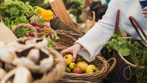 Фермерските пазари на Lidl свързват малки и средни производители с клиентите от големите градове - Agri.bg