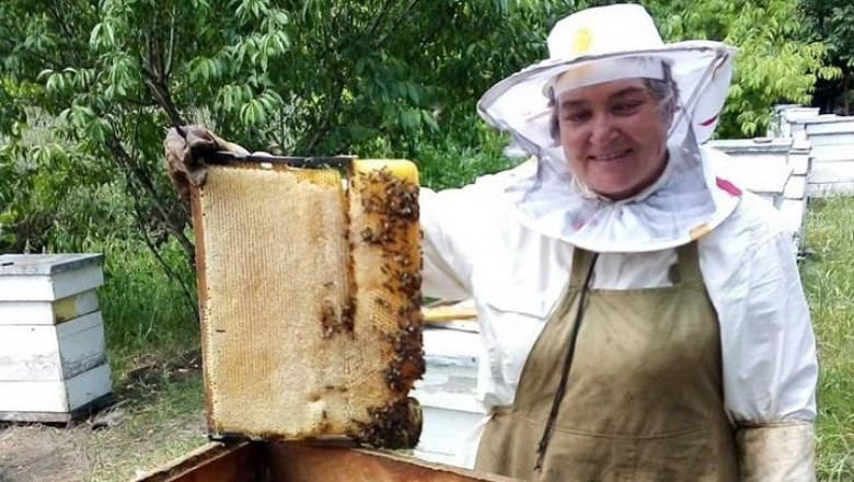 Даниела Челебиева: Цената на меда не гарантира оцеляване на пчеларите