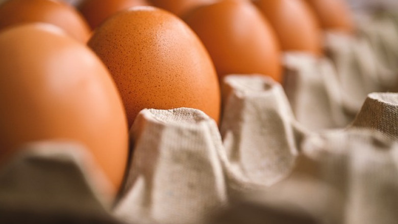 Съюзът на птицевъдите алармира за внос на 2,5 млн. украински яйца