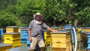 Внучка на пчелари: Ако толкова се нуждаехме от хапчета, те щяха да растат по дърветата - Снимка 6