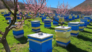 Професия пчелар: Мервин Ведатов за избора да гледаш пчели - Agri.bg