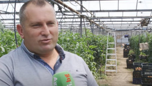 Георги Кафтанов: Пълно е с оранжерии, които се продават или дават под наем - Agri.bg