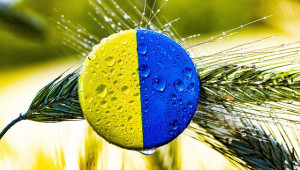 Бизнесмен дава 200 млн. евро за най-големия износител на зърно в Украйна