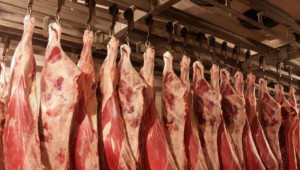 БАБХ възбрани 32 тона агнешко месо от Северна Македония