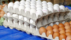 БАБХ възбрани над 190 хил. яйца, затвори 7 обекта след засилени проверки - Agri.bg