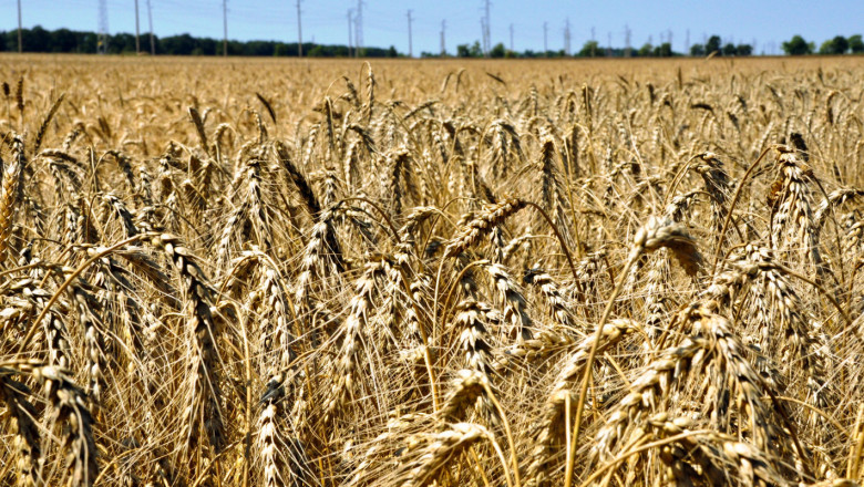 Призив: Европа да защити българското земеделие