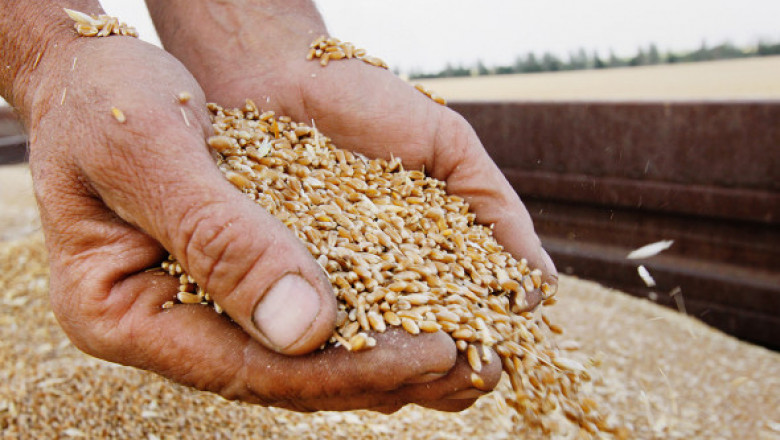 След забраната за внос в три страни: Цените на зърното тръгнаха нагоре 