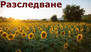 Мит ли е ниската цена на украинското зърно?