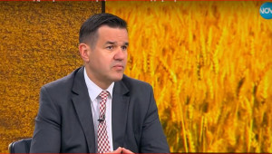 Министър Никола Стоянов: Готови сме да отворим границите с Украйна, ако цените на едро тръгнат нагоре