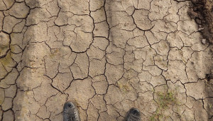 Пореден месец сушата изтезава фермерите в Европа